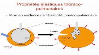 Ventilation pulmonaire  Partie 4  Propriétés élastiques de lappareil respiratoire [upl. by Safire]