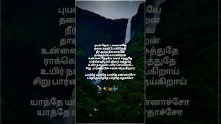 Yathe yathe song lyrics🦋✨🎶sivamallisrimani1900 SrideviManisha lyrics trending music [upl. by Knuth]