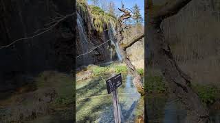 Beautiful Plitvice lakes beautiful nature adventure plitvice gorgeous fun trip naturelovers [upl. by Tedman]