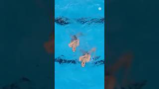 Watch The 2024 Olympics Bronze Medalists Brouwer Sisters synchronizedswimmer BrouwerSisters [upl. by Halihs778]