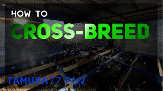 How to Crossbreed my POV  Rust [upl. by Stockmon911]