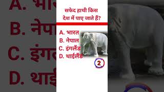 सफेद हाथी किस देश में पाए जाते है safed hathi kahan paya jata hai gk gkquestion video [upl. by Kumler]