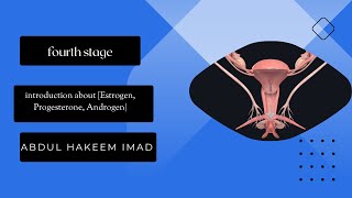 introduction about Estrogen Progesterone Androgen second course4th stageBy عبد الحكيم عماد [upl. by Gruchot]