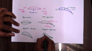 Lift of Aeroplane Wing  How do Aeroplane Fly  Air Foil shorts science physics [upl. by Cathe]