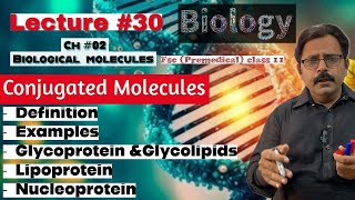 Conjugated molecules  Glycoprotein amp Glycolipids  Lipoprotein Nucleoprotein  Biology class 11 [upl. by Opalina809]