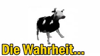 MEME Geschichte  Dancing Polish COW  Polnische tanzende KUH [upl. by Elmaleh]