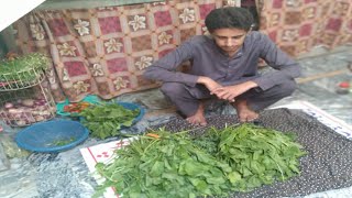 How to make Saag Recipe  Saag In Punjabi Style  Saag Recipe  Marsad Food Secrets [upl. by Ahsinoj]