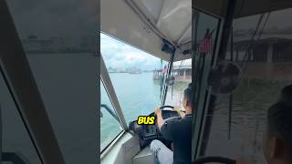 Cet homme plonge le bus dans la rivière et surprend les passagers 😨 [upl. by Wootten]