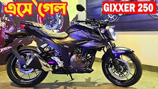 বাংলাদেশে চলে আসলো GIXXER 250  Price amp More [upl. by Raddie843]