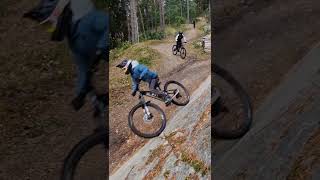 Nesbyen trail center🚲🚲mtb shortvideo canyonbikes downhill mountainbike sendit [upl. by Ploch75]