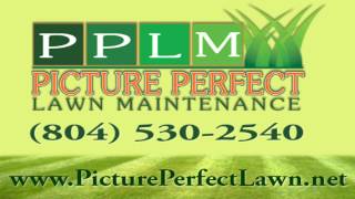 Chesterfield VA Lawn Care Fertilization 804 5302540 [upl. by Alsi]