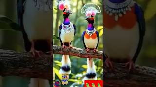 Colorful bird 😍 birds nature love wildlife ai beautiful flute 💥😍🦜 [upl. by Newob]