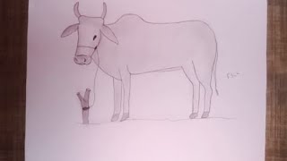 Create A Beautiful Cow Sketch Drawing With Pencil Step By Step Fantastic Sketch Book [upl. by Kisung]