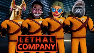 CAOS TOTAL EN LETHAL COMPANY Momentos ridículos en Lethal Company 🤦‍♂️💣 [upl. by Eskill129]