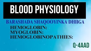 Hemoglobin  Myoglobin  Hemoglobinopathies  AFSOOMAALI [upl. by Anohsal]