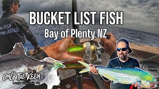 Marlin Mahimahi bucket list location  Tauranga NZ [upl. by Enyalahs]