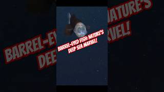 BarrelEyed Fish Natures Deep Sea Marvelshorts short shortvideo shortsfeed [upl. by Flannery]