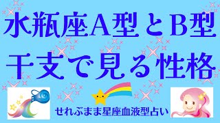 星座×血液型と干支で見る性格 水瓶座A型、B型編 星座占いと血液型占いでわかる 性格とあの人との相性 せれぶまま星座血液型占い [upl. by Richmound762]