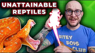 5 DREAM Reptiles I Cant Afford But Maybe YOU Can [upl. by Gretchen]