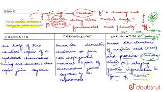 How are chromatin chromatid and chromosomes related to each other [upl. by Werra]