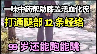 膝盖老化走路痛？一味中药帮助膝盖活血化瘀，打通腿部12条经络，延长膝盖寿命，99岁还能跑能跳【本草养生大智慧】 [upl. by Mariska]