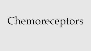 How to Pronounce Chemoreceptors [upl. by Ellehctim]