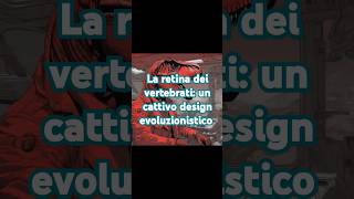 La retina dei vertebrati  un cattivo design evoluzionistico [upl. by Nomelihp]