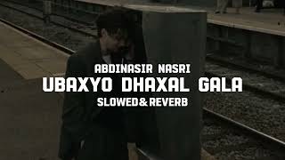 Ubaxyo Dhaxal Gala  slowedreverb  Abdinasir Nasri [upl. by Ardnosac]