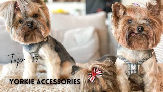 Small Dog Accessories You Need For Your Yorkshire Terrier Puppy Top 10 [upl. by Noloc907]