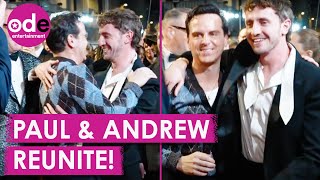 Paul Mescal amp Andrew Scotts Sweet REUNION at Gladiator 2 Premiere [upl. by Petronia136]