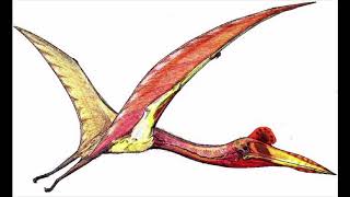 Sound Effects  Quetzalcoatlus northropi [upl. by Bacchus]