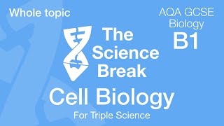 Prokaryotic Cells  Introduction and Structure  Post 16 Biology A Level PreU IB AP Bio [upl. by Press]