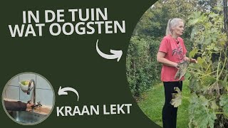 In de tuin kraan lekt weer thuis [upl. by Ylurt405]