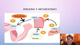 Regulación Hormonal del Metabolismo [upl. by Llerol]