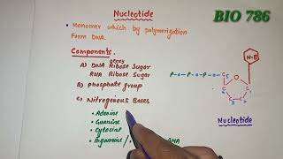 Nucleotide  Composition  purines amp pyrimidines [upl. by Ynattib659]