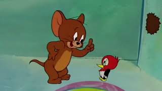 Tom and Jerry  Tom and jerry hindi cartoon  Tom and Jerry cartoon  hindi Tom and jerry [upl. by Groscr]