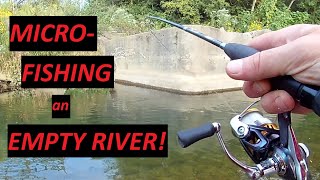 MultiSpecies Micro Fishing in an Empty River  How to Catch Loads of Bait [upl. by Sallyanne]