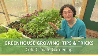 Learn How to Grow Vegetables in a Greenhouse With These Helpful Tips [upl. by Cliff]