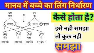 मानव में बच्चे का लिंग निर्धारण कैसे होता हैClass 10th VVI Question for 2024 board Exam [upl. by Shurlocke]