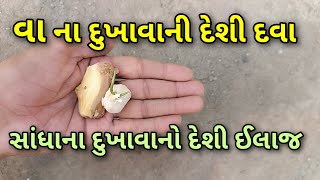 વા ના દુખાવાની દેશી દવા  સાંધાના દુખાવા નો ઈલાજ  joint pain treatment jointpain [upl. by Nosrettap]