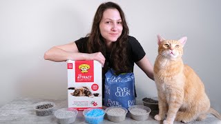 Top 10 Best Cat Litters of 2021 We Tried Them All [upl. by Ococ]