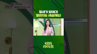 절세가 답이다 ⚠️ 달라지는 세금제도 💵 무엇이든 물어보세요  KBS 방송 [upl. by Ripleigh]