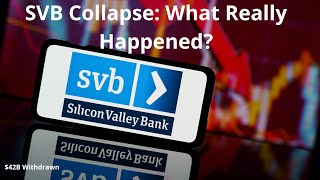 Silicon Valley Bank Collapses What Really Happened [upl. by Nwahsirhc730]