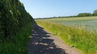 Near Roundstone Farm [upl. by Skvorak]