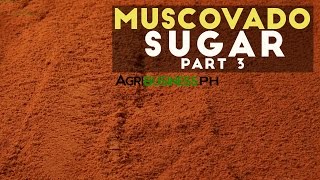 How to cook muscovado sugar  Muscovado sugar Part 3 Agribusiness [upl. by Adnima496]