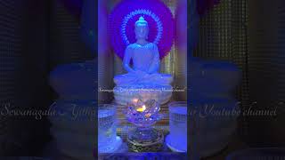 සුදු අරලිය මල්  Sudu araliya Mal buddha bodubathigee religion buddhism buddhapuja chanting [upl. by Elockin]