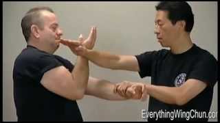 Preview  Samuel Kwok  Wing Chun Vol 2  CHUM KIU [upl. by Eugenia]