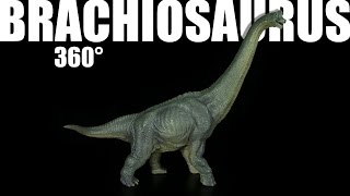 Papo ® Brachiosaurus  360° [upl. by Pussej579]