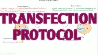 Transfection Protocols ll Transfection methods ll Xgene and ProteinX [upl. by Atirehc]