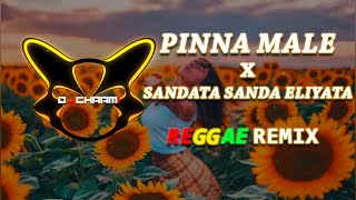 Pinna Male x Sadata Sada Eliyata Reggae Remix DJ CHAAMI [upl. by Laenaj]